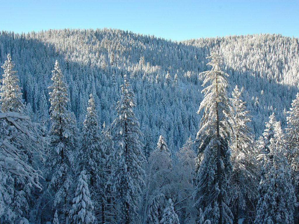Birds Eye Vista Villa Yosemite West Eksteriør billede